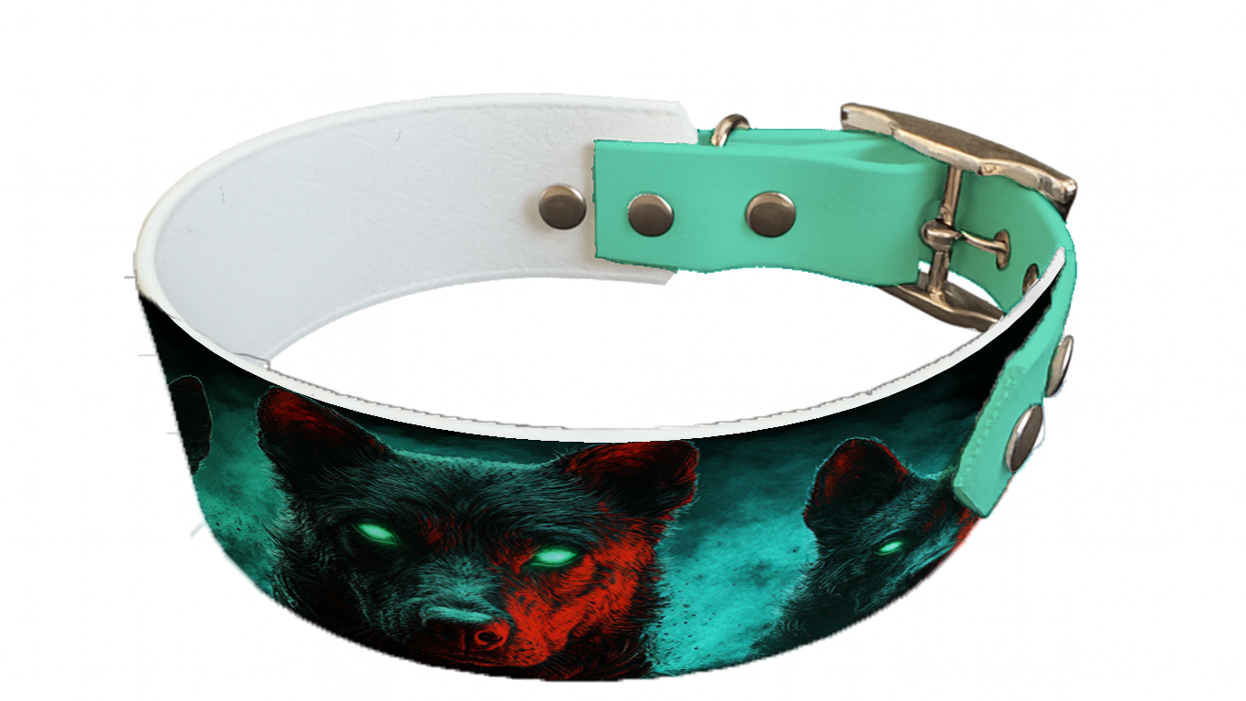 Collier bicolore large pour chien en BioThane® imprimé – Collection chiens– 38/25 mm