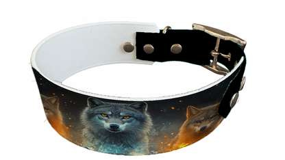 Collier bicolore large pour chien en BioThane® imprimé – Collection chiens– 38/25 mm