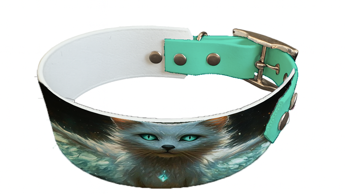 Collier bicolore large pour chien en BioThane® imprimé – Collection monstres et créatures imaginaires– 38/25 mm