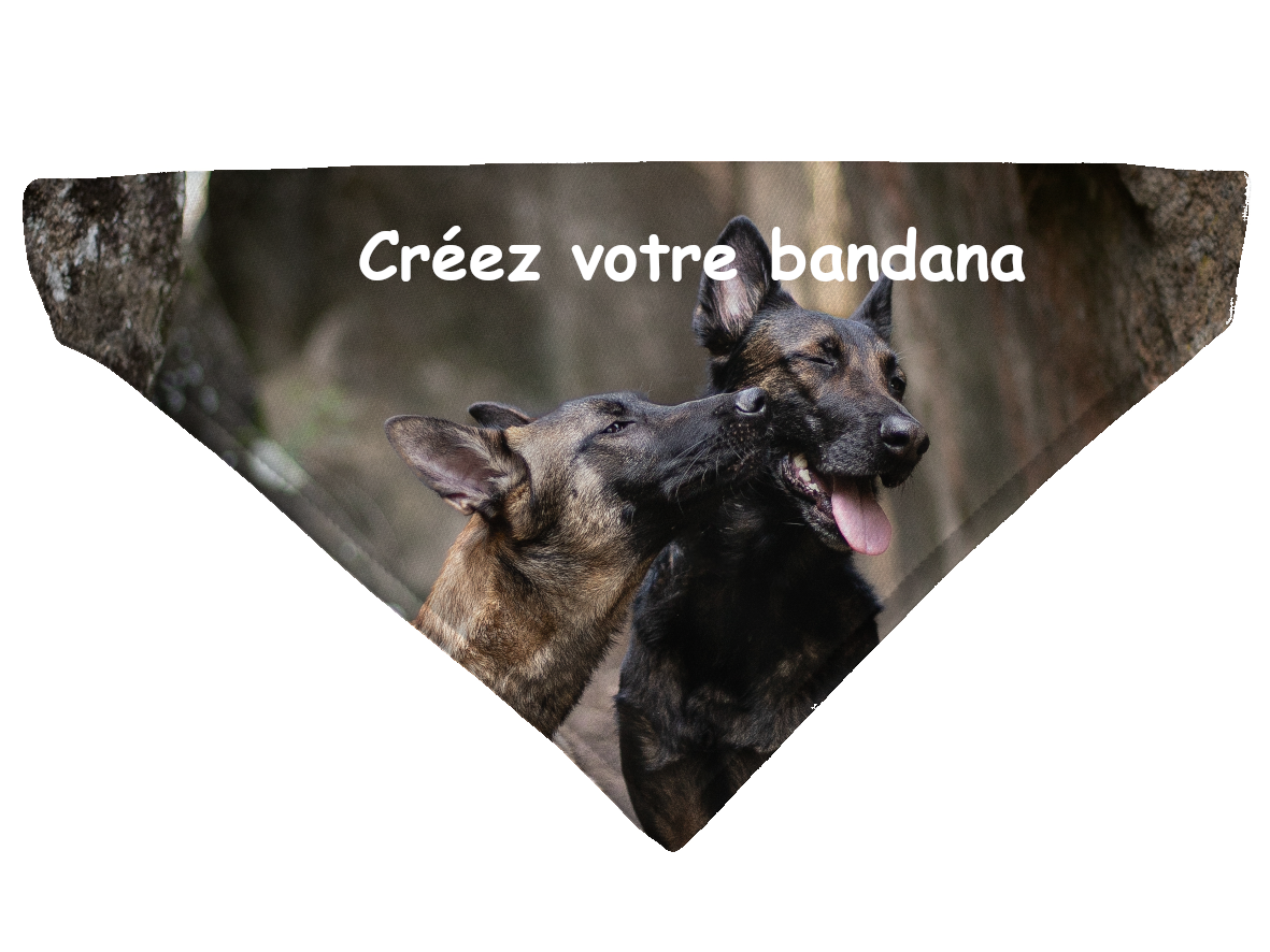 Bandana Personnalisable pour chien