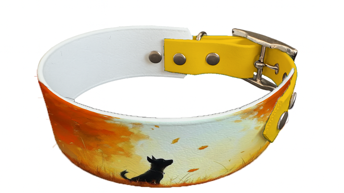 Collier bicolore large pour chien en BioThane® imprimé – Collection chiens– 38/25 mm