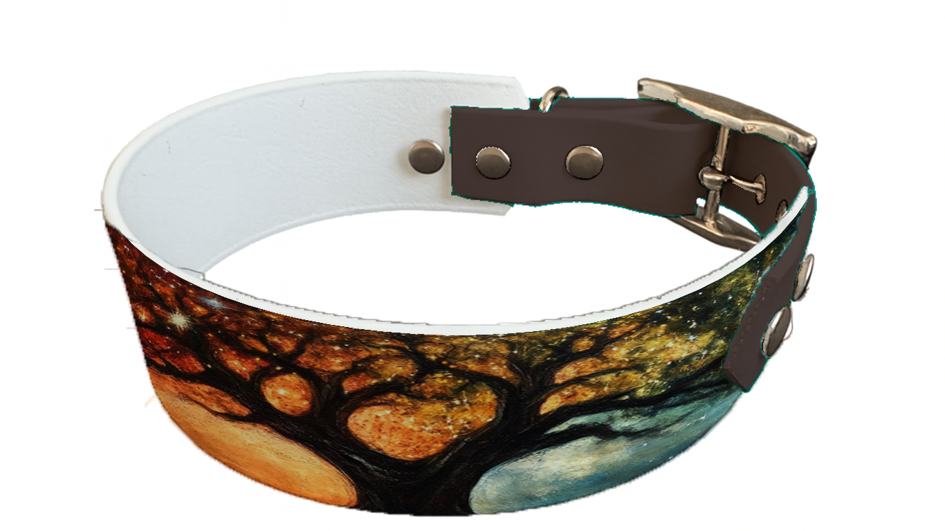 Collier bicolore large pour chien en BioThane® imprimé – Collection paysage– 38/25 mm