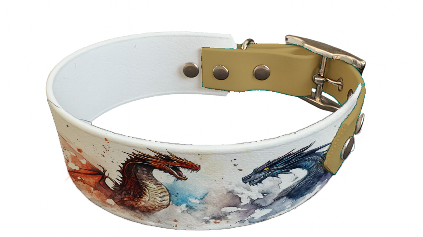 Collier bicolore large pour chien en BioThane® imprimé – Collection monstres et créatures imaginaires– 38/25 mm