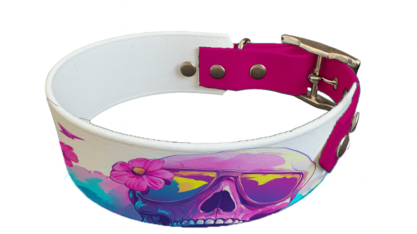 Collier bicolore large pour chien en BioThane® imprimé – Collection tête de mort– 38/25 mm