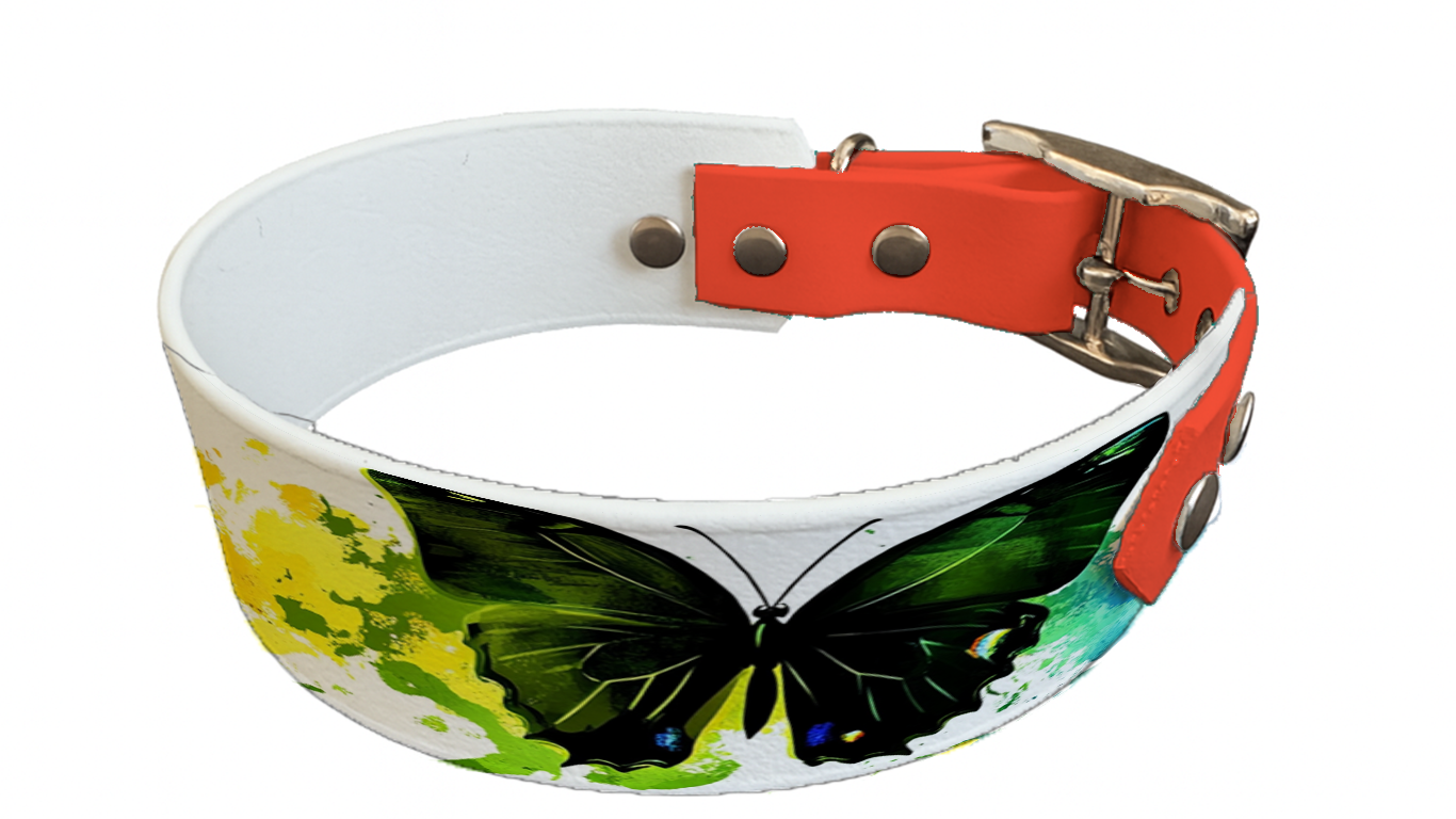 Collier bicolore large pour chien en BioThane® imprimé – Collection insectes– 38/25 mm