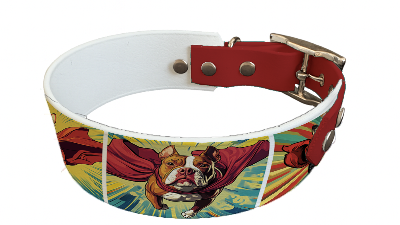 Collier bicolore large pour chien en BioThane® imprimé – Collection chiens– 38/25 mm