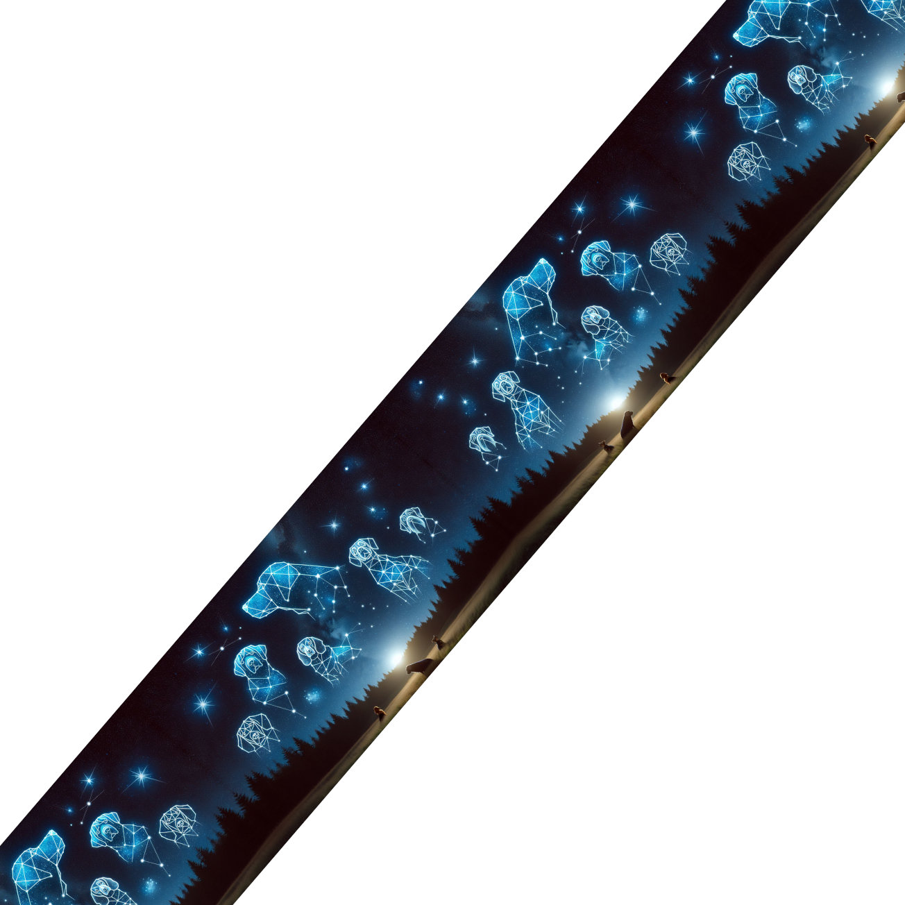 Collier double large pour chien en BioThane® imprimé – Collection galaxie – 38/25 mm