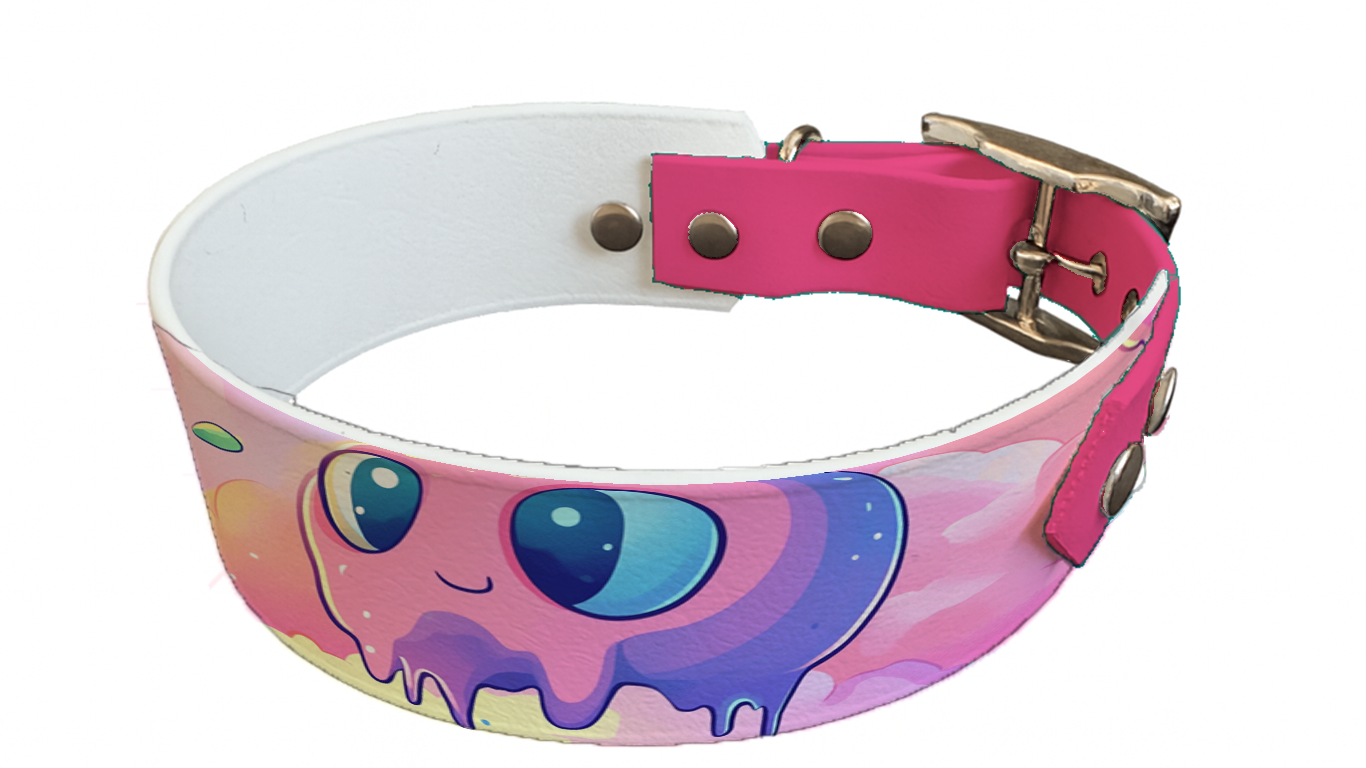 Collier bicolore large pour chien en BioThane® imprimé – Collection monstres et créatures imaginaires– 38/25 mm