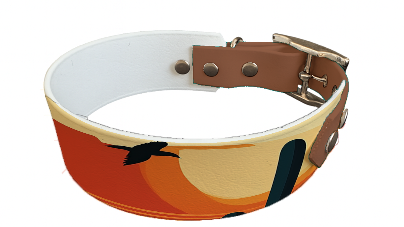 Collier bicolore large pour chien en BioThane® imprimé – Collection paysage– 38/25 mm