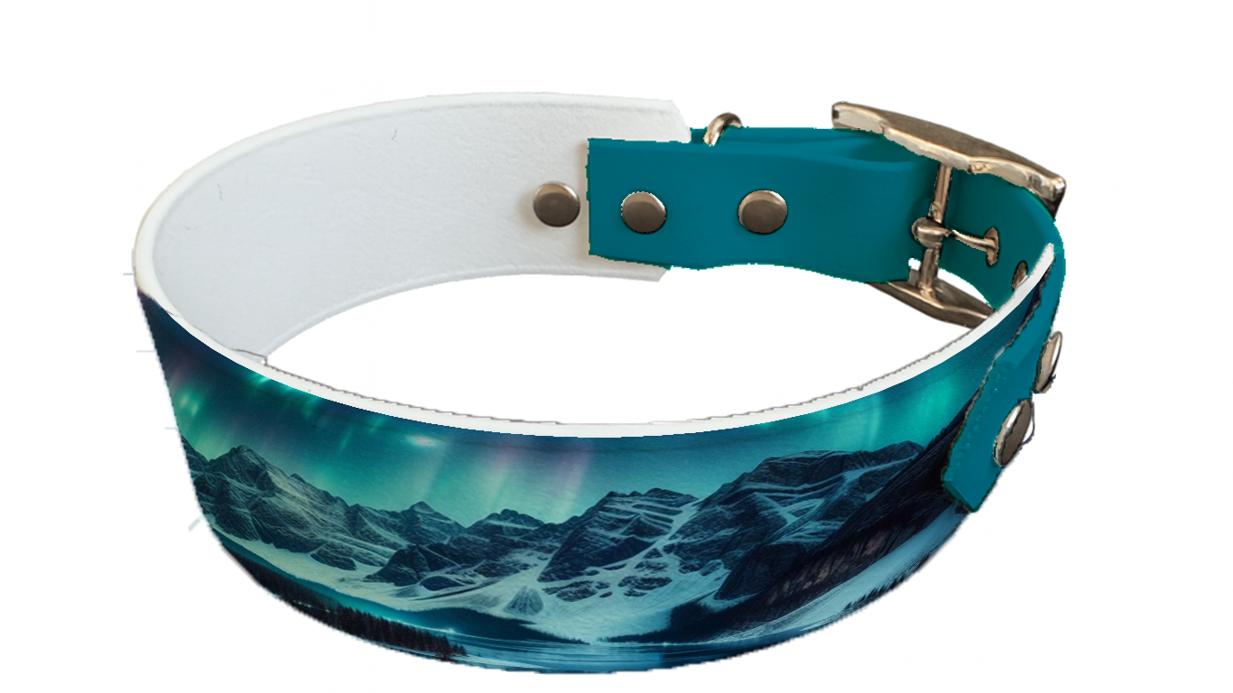 Collier bicolore large pour chien en BioThane® imprimé – Collection paysage– 38/25 mm