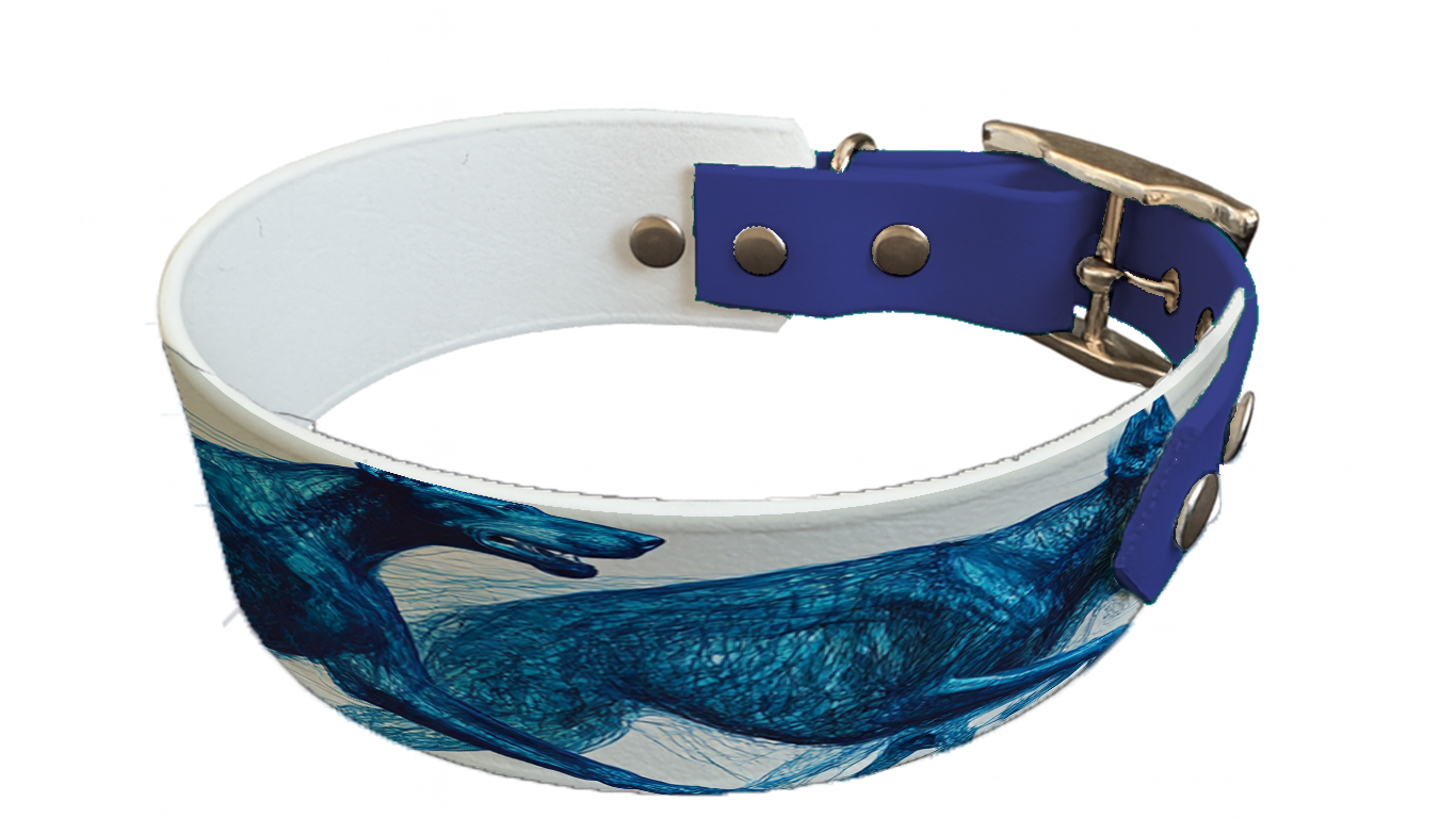 Collier bicolore large pour chien en BioThane® imprimé – Collection chiens– 38/25 mm