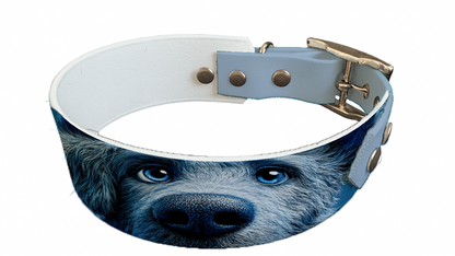 Collier bicolore large pour chien en BioThane® imprimé – Collection chiens– 38/25 mm