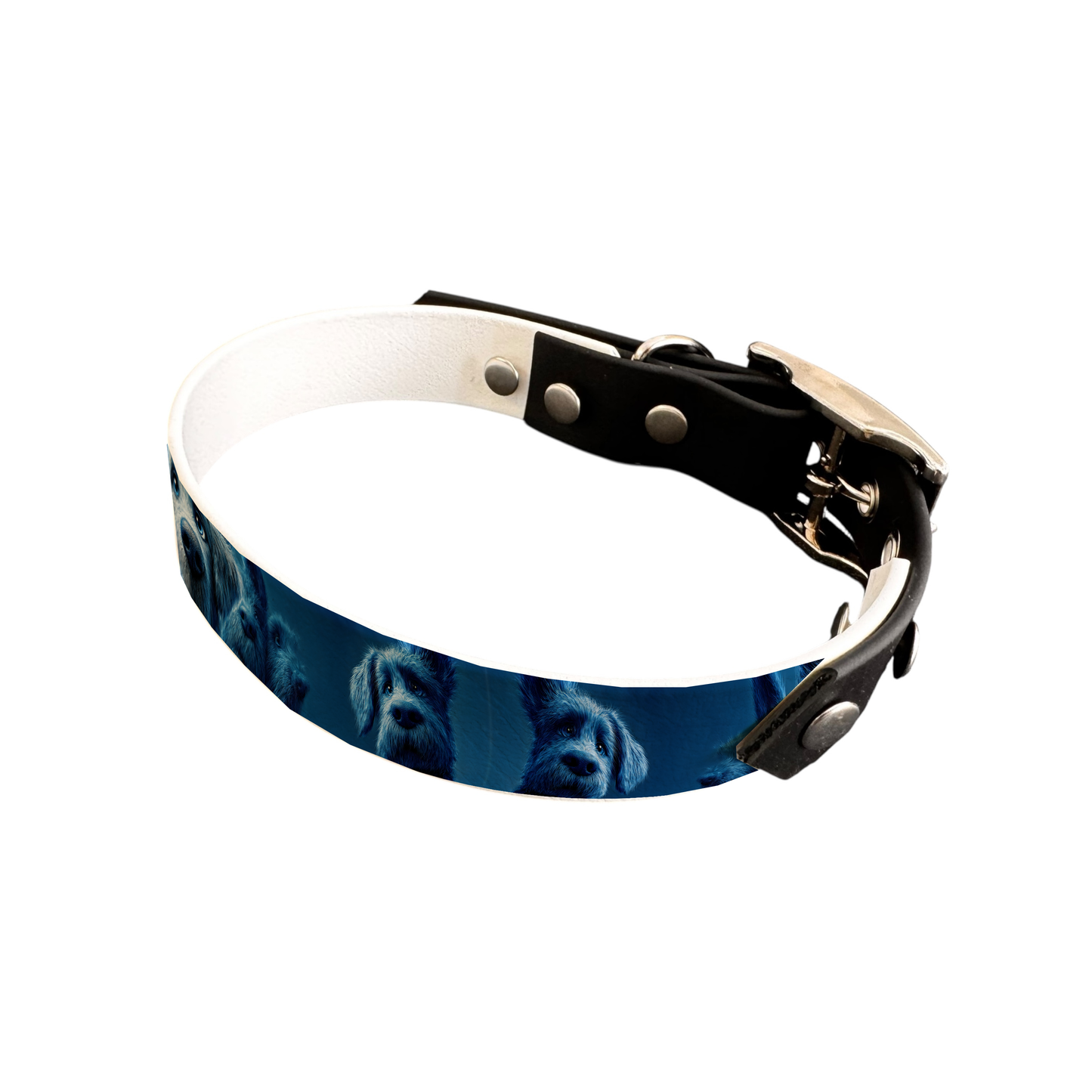 Collier bicolore large pour chien en BioThane® imprimé – Collection chiens– 19 mm