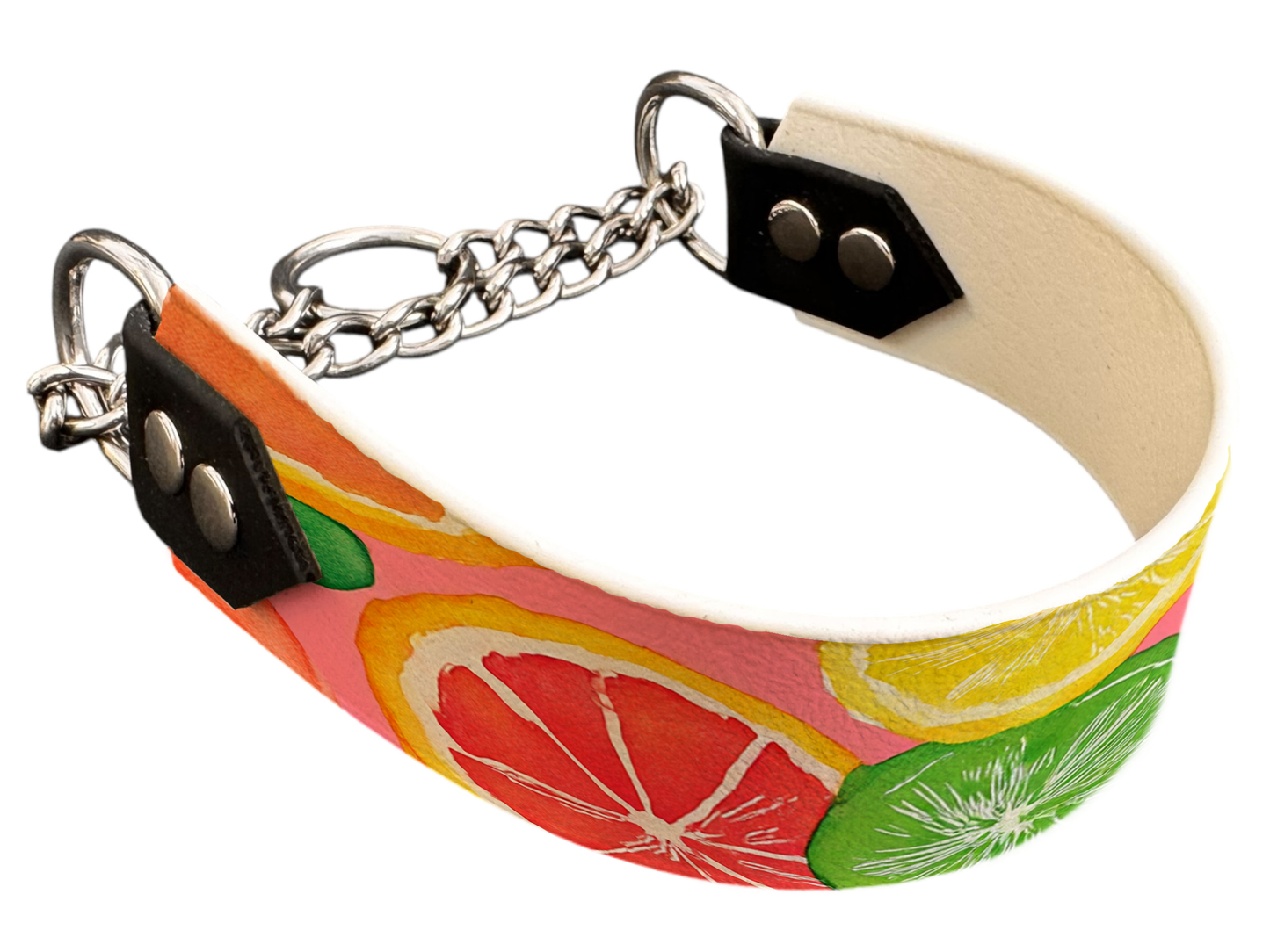 Martingale pour chien en BioThane® imprimé – Collection gourmandise – 38mm