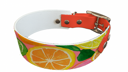 Collier bicolore large pour chien en BioThane® imprimé – Collection gourmandise – 38/25 mm