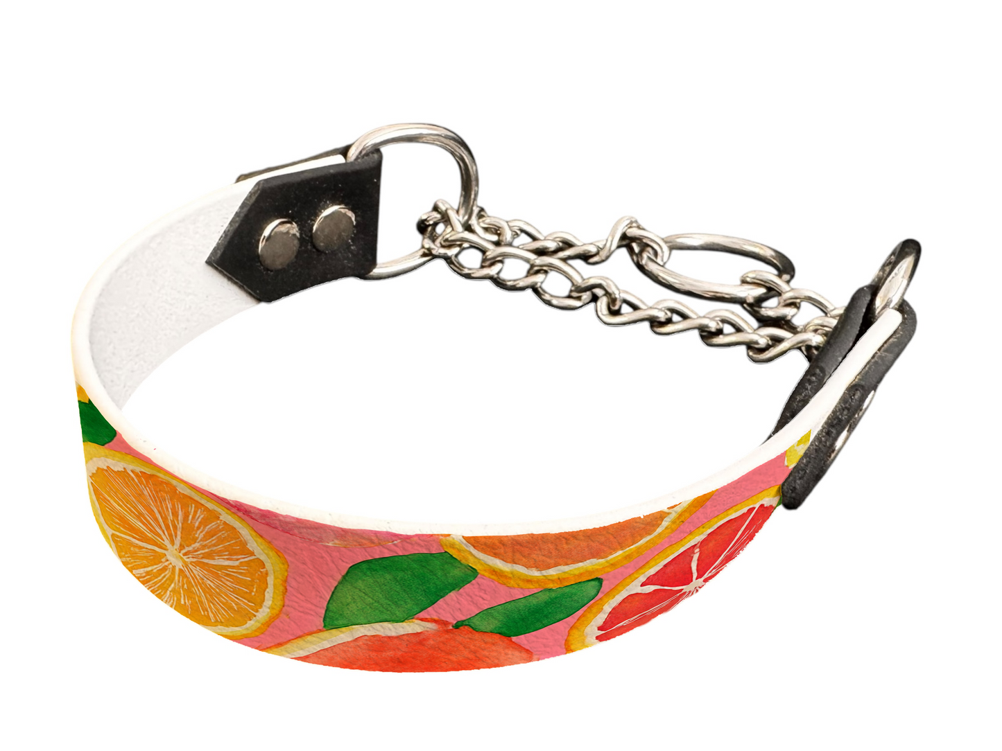 Martingale pour chien en BioThane® imprimé – Collection gourmandise – 25mm