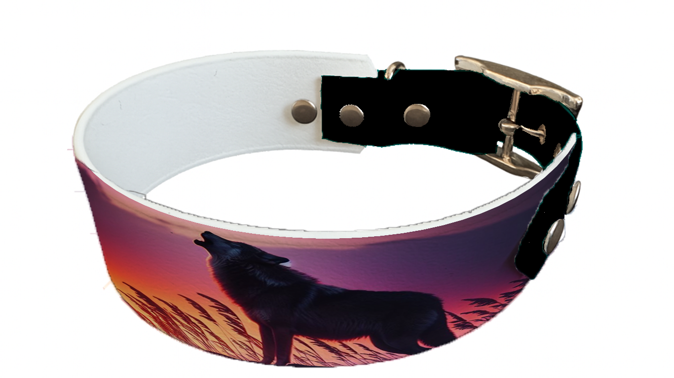 Collier bicolore large pour chien en BioThane® imprimé – Collection chiens– 38/25 mm