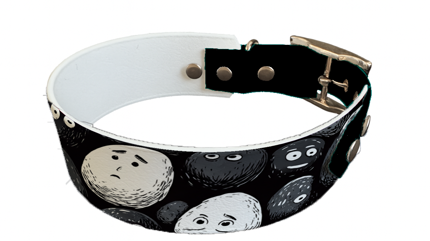 Collier bicolore large pour chien en BioThane® imprimé – Collection pop art– 38/25 mm