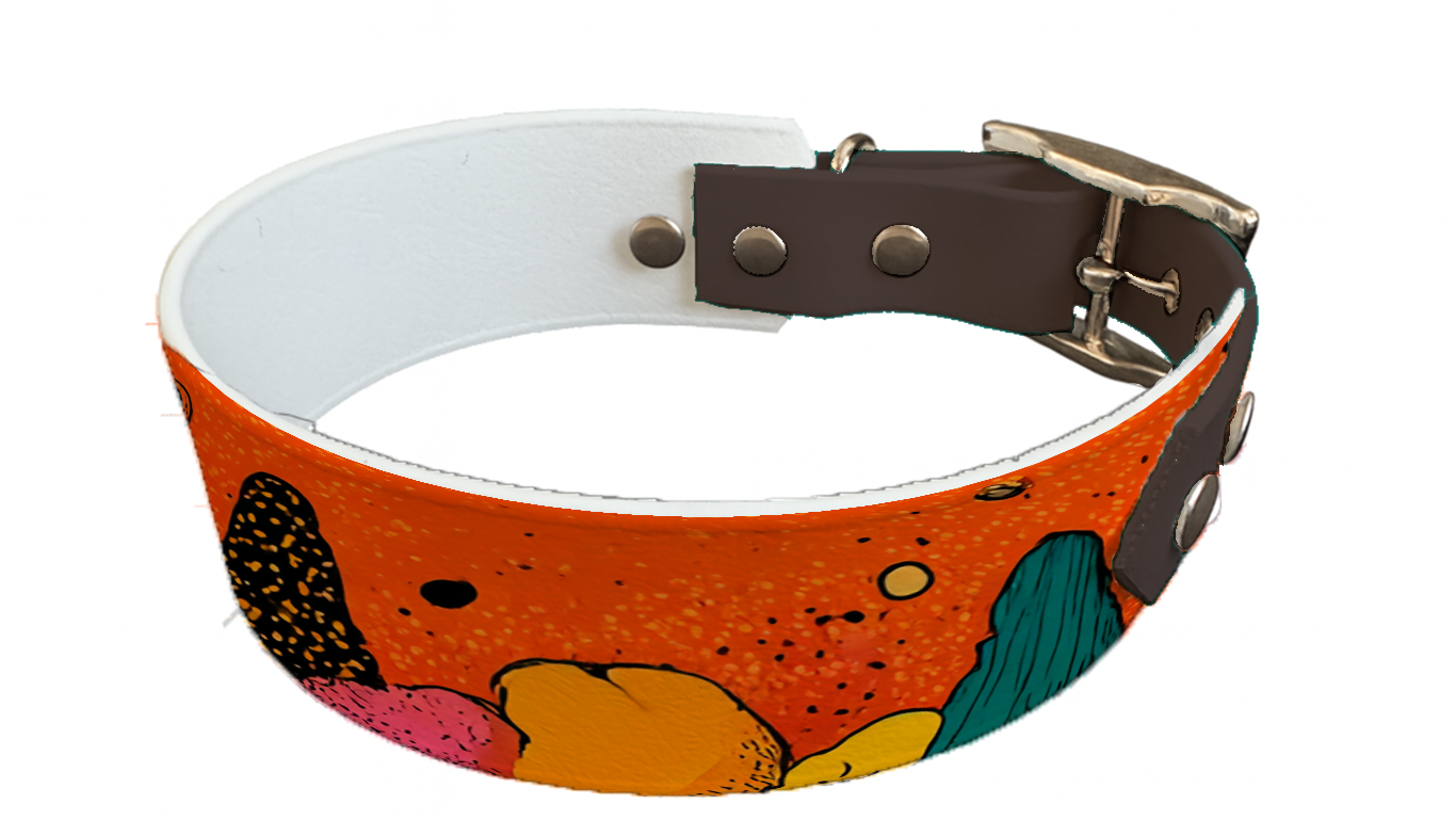Collier bicolore large pour chien en BioThane® imprimé – Collection paysage– 38/25 mm