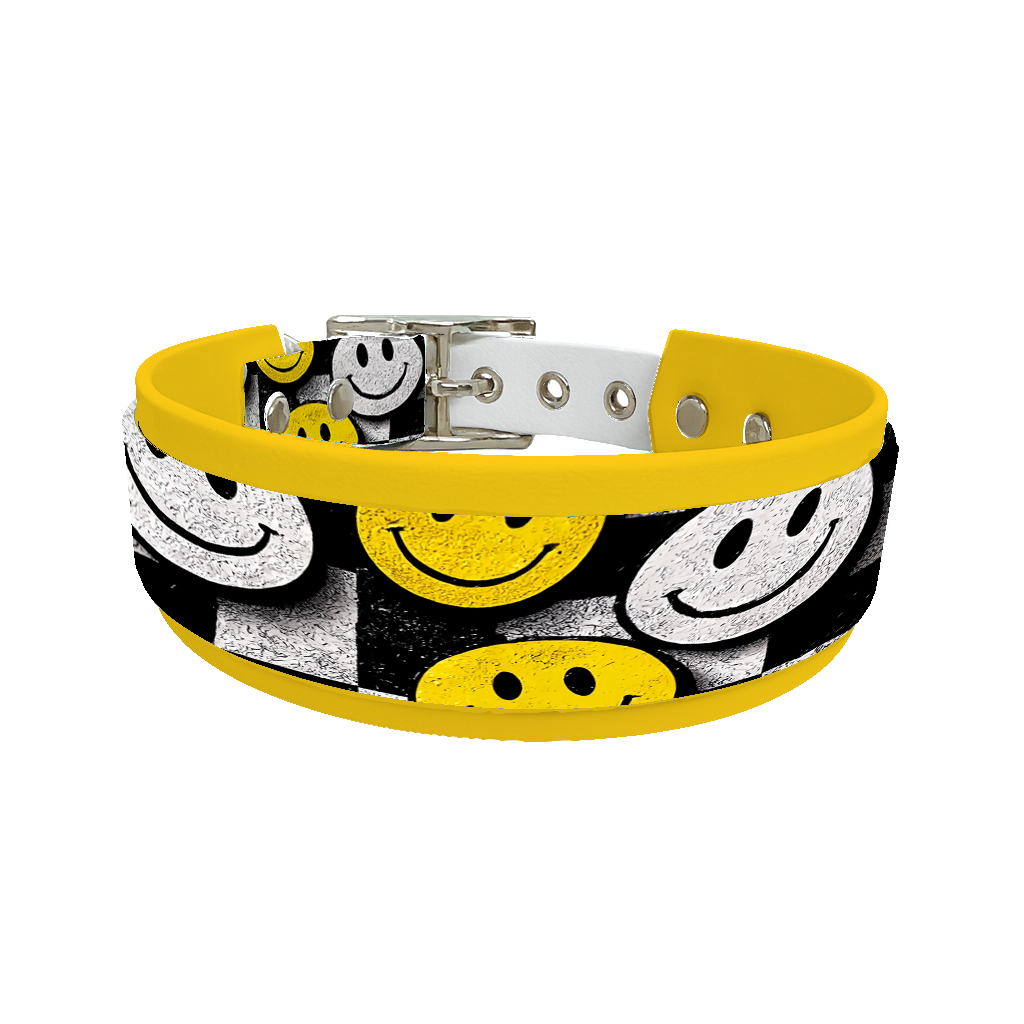 Collier double large pour chien en BioThane® imprimé – Collection pop art– 38/25 mm