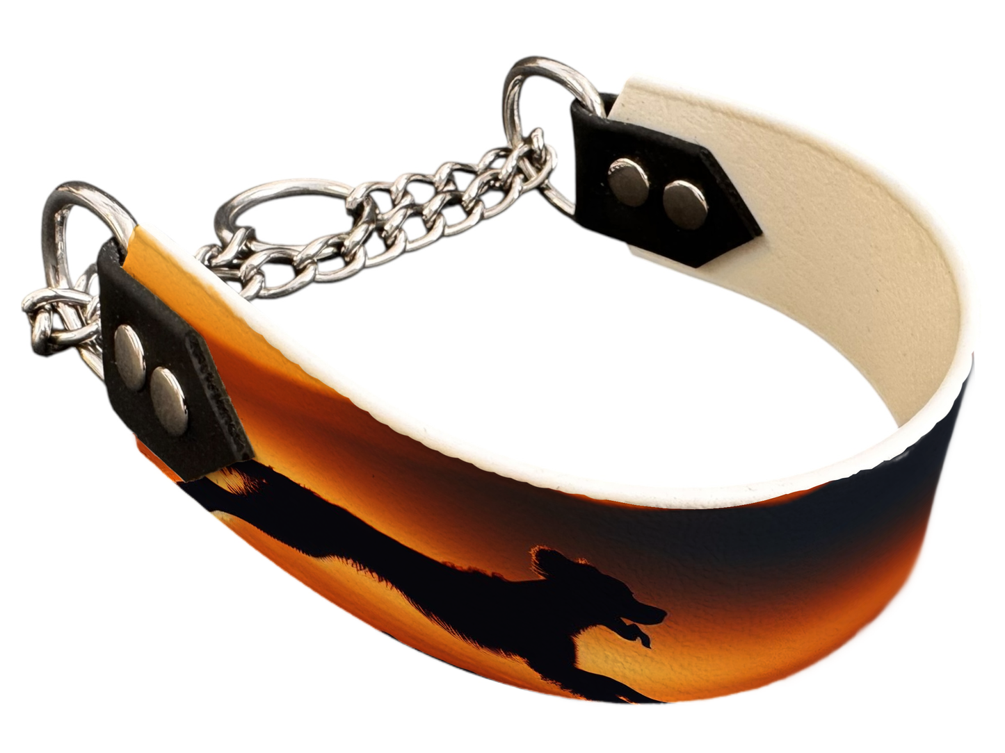 Martingale pour chien en BioThane® imprimé – Collection chiens– 38mm