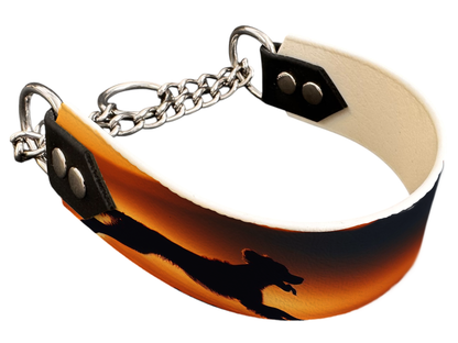 Martingale pour chien en BioThane® imprimé – Collection chiens– 38mm