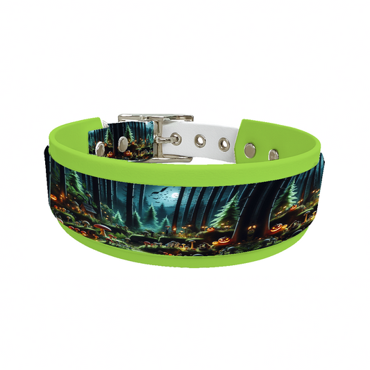 Collier double large pour chien en BioThane® imprimé – Collection Halloween– 38/25 mm
