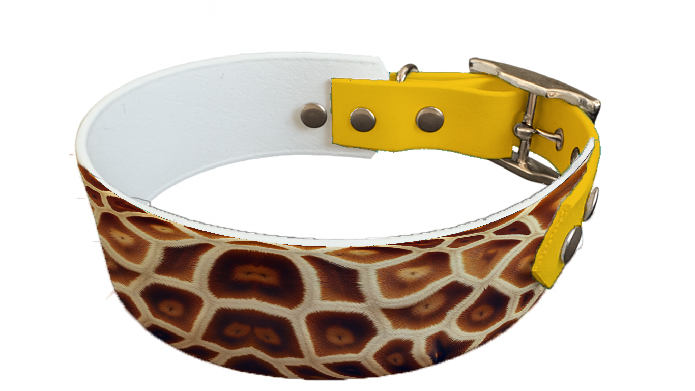 Collier bicolore large pour chien en BioThane® imprimé – Collection fourrures et pelages – 38/25 mm
