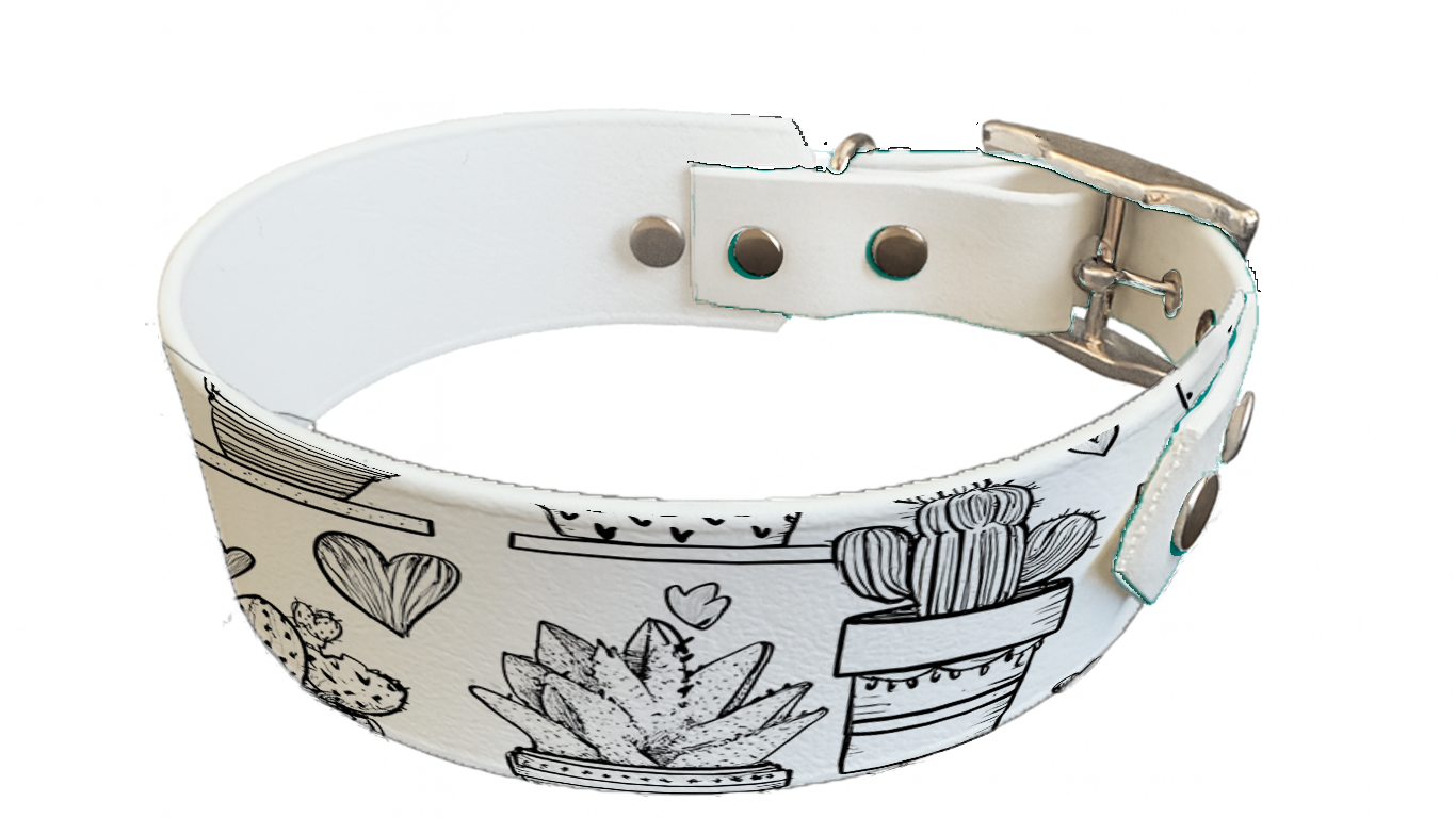 Collier bicolore large pour chien en BioThane® imprimé – Collection Saint valentin– 38/25 mm