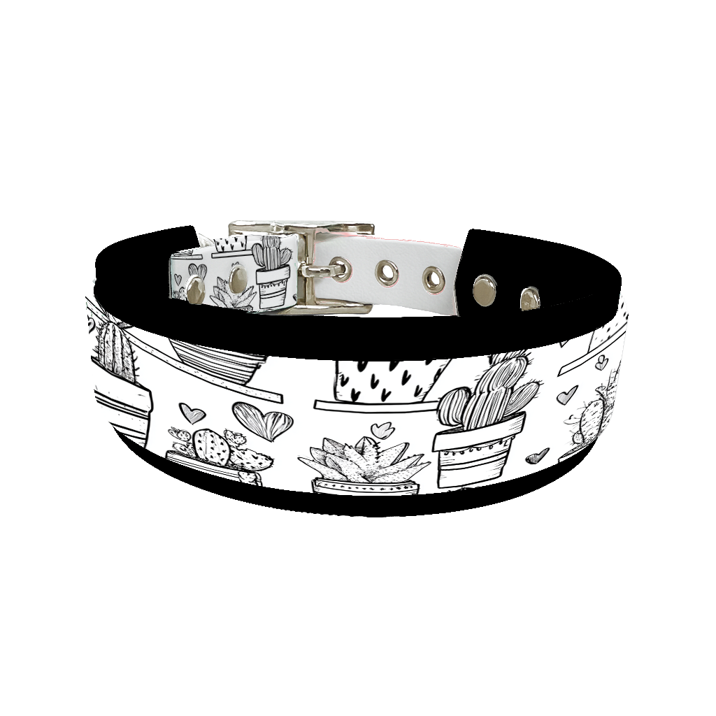 Colliers doubles pour chien – Collection Saint-Valentin (25 mm / 38 mm)