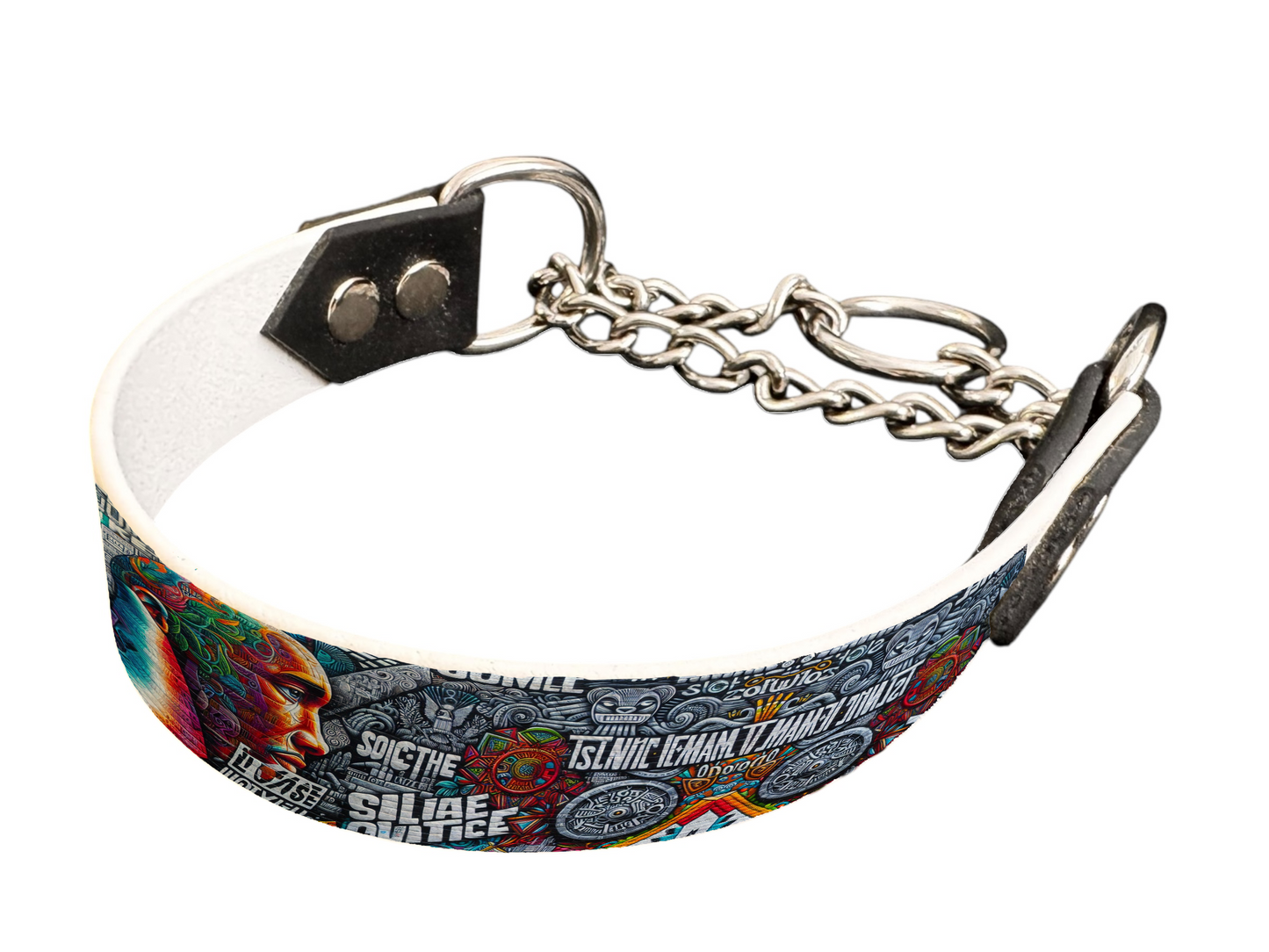 Martingale pour chien en BioThane® imprimé – Collection pop art– 25mm