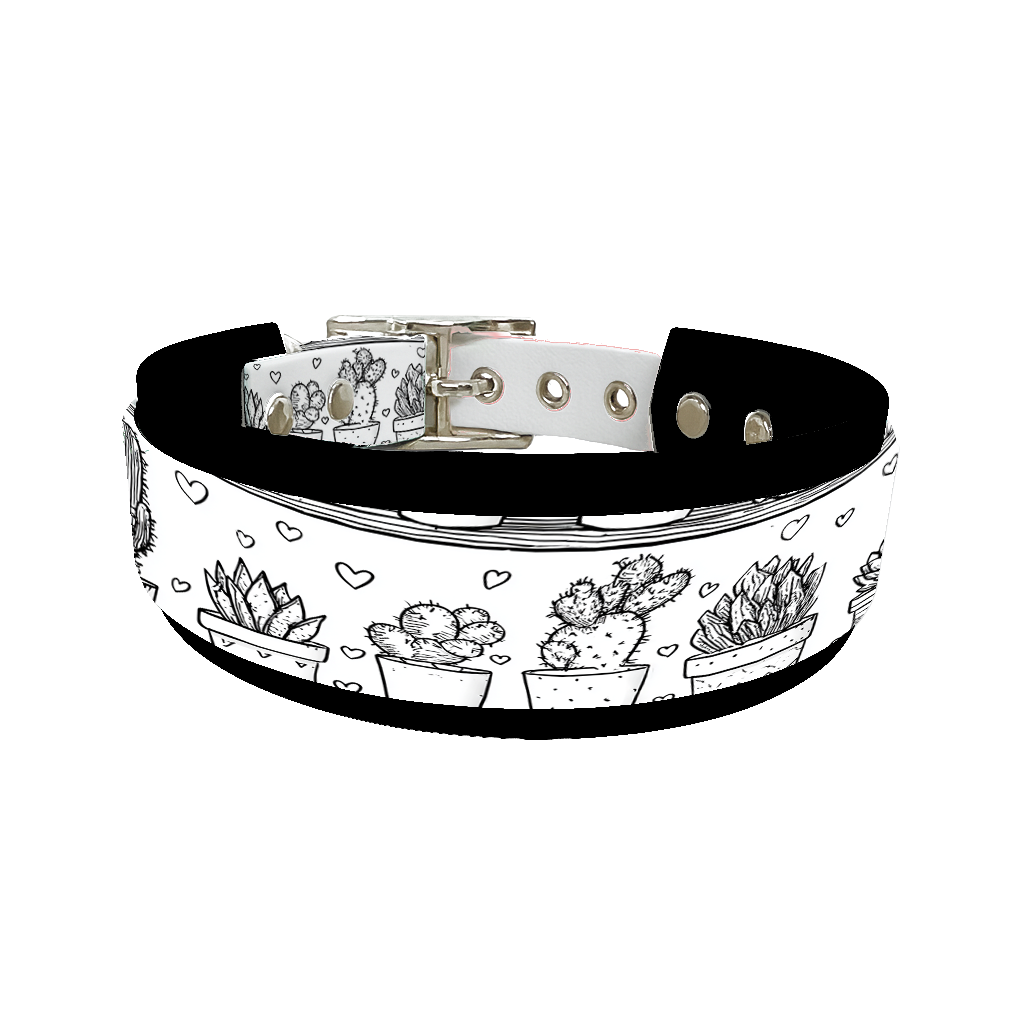 Colliers doubles pour chien – Collection Saint-Valentin (25 mm / 38 mm)