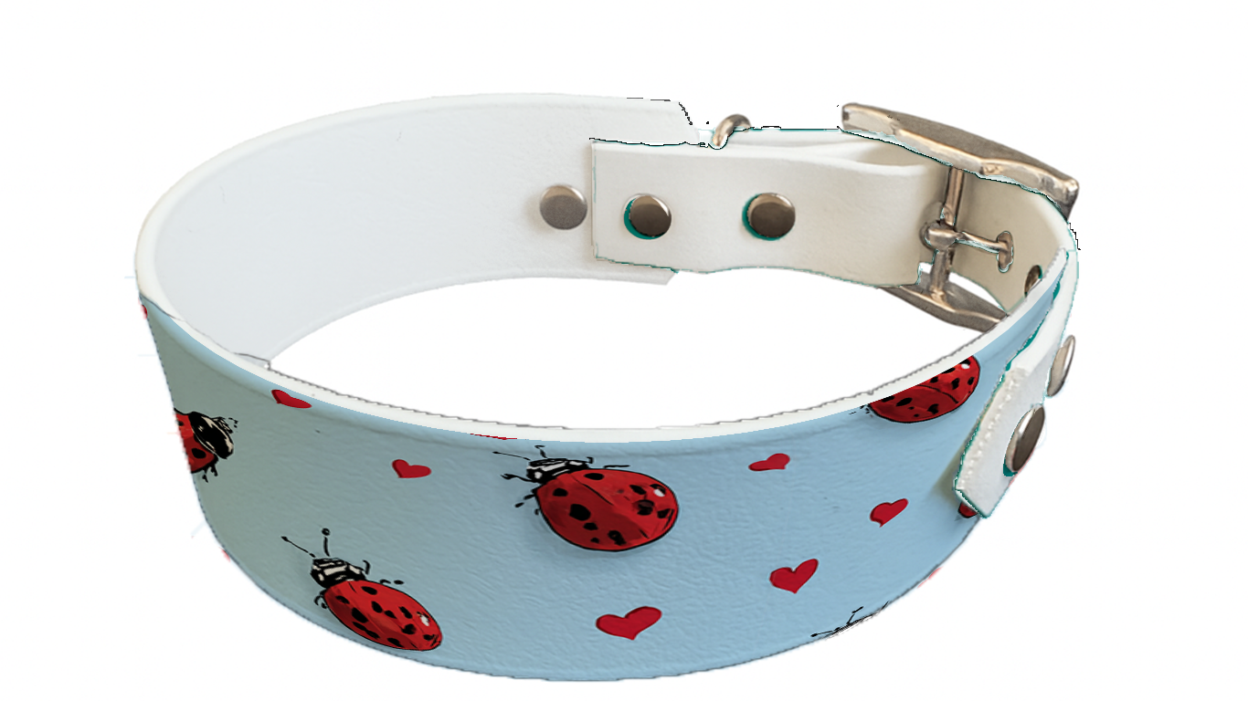 Collier bicolore large pour chien en BioThane® imprimé – Collection Saint valentin– 38/25 mm