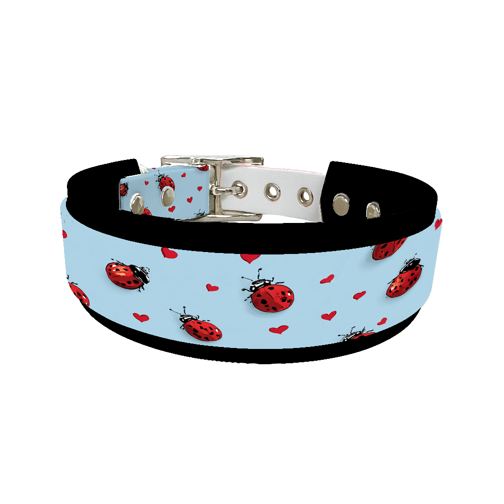 Colliers doubles pour chien – Collection Saint-Valentin (25 mm / 38 mm)