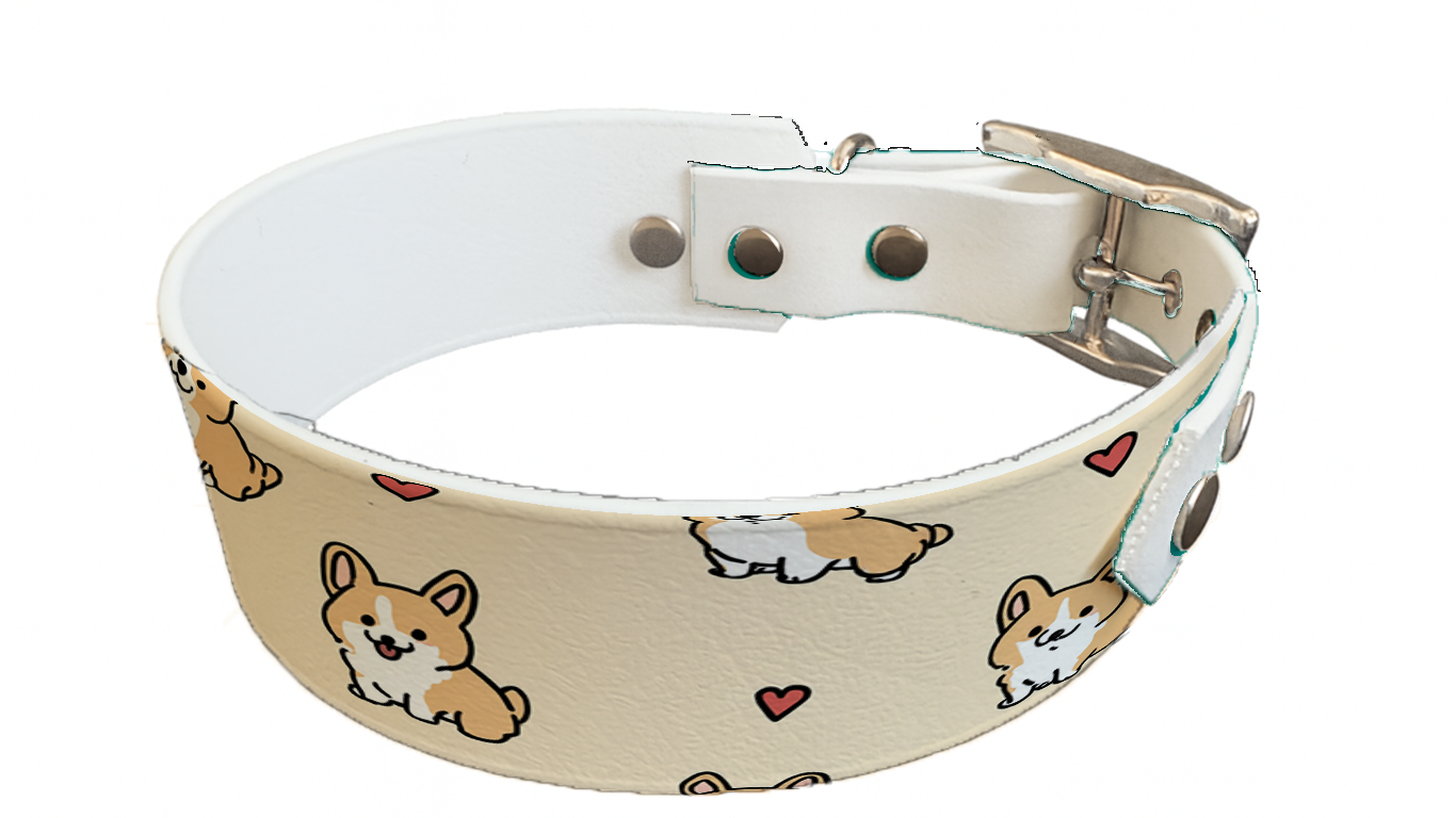 Collier bicolore large pour chien en BioThane® imprimé – Collection Saint valentin– 38/25 mm