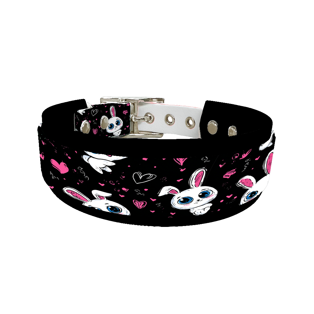 Colliers doubles pour chien – Collection Saint-Valentin (25 mm / 38 mm)