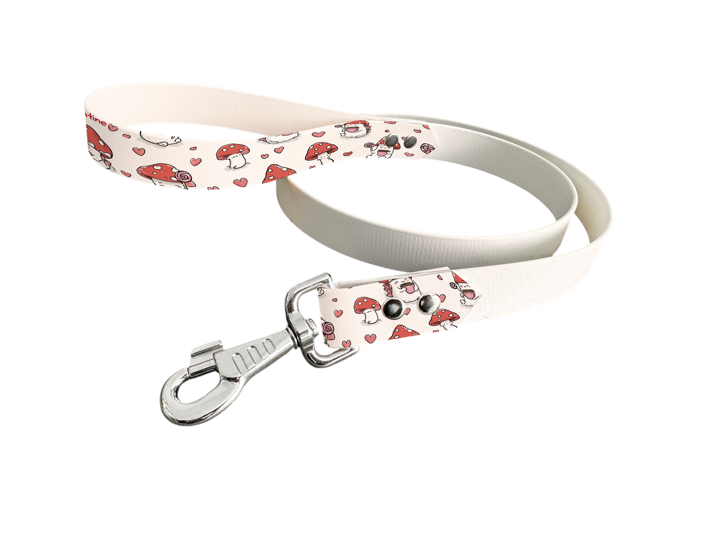 Laisse bicolore en BioThane® avec poignée imprimée – Collection Saint Valentin- Coloris au choix