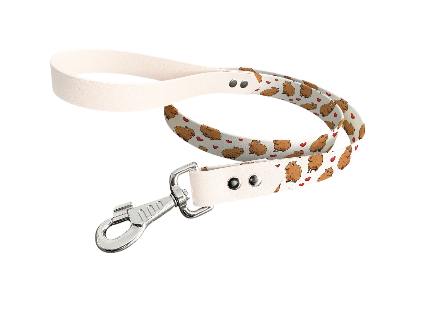 Laisse bicolore en BioThane® avec longe imprimée – Collection Saint Valentin- Coloris au choix