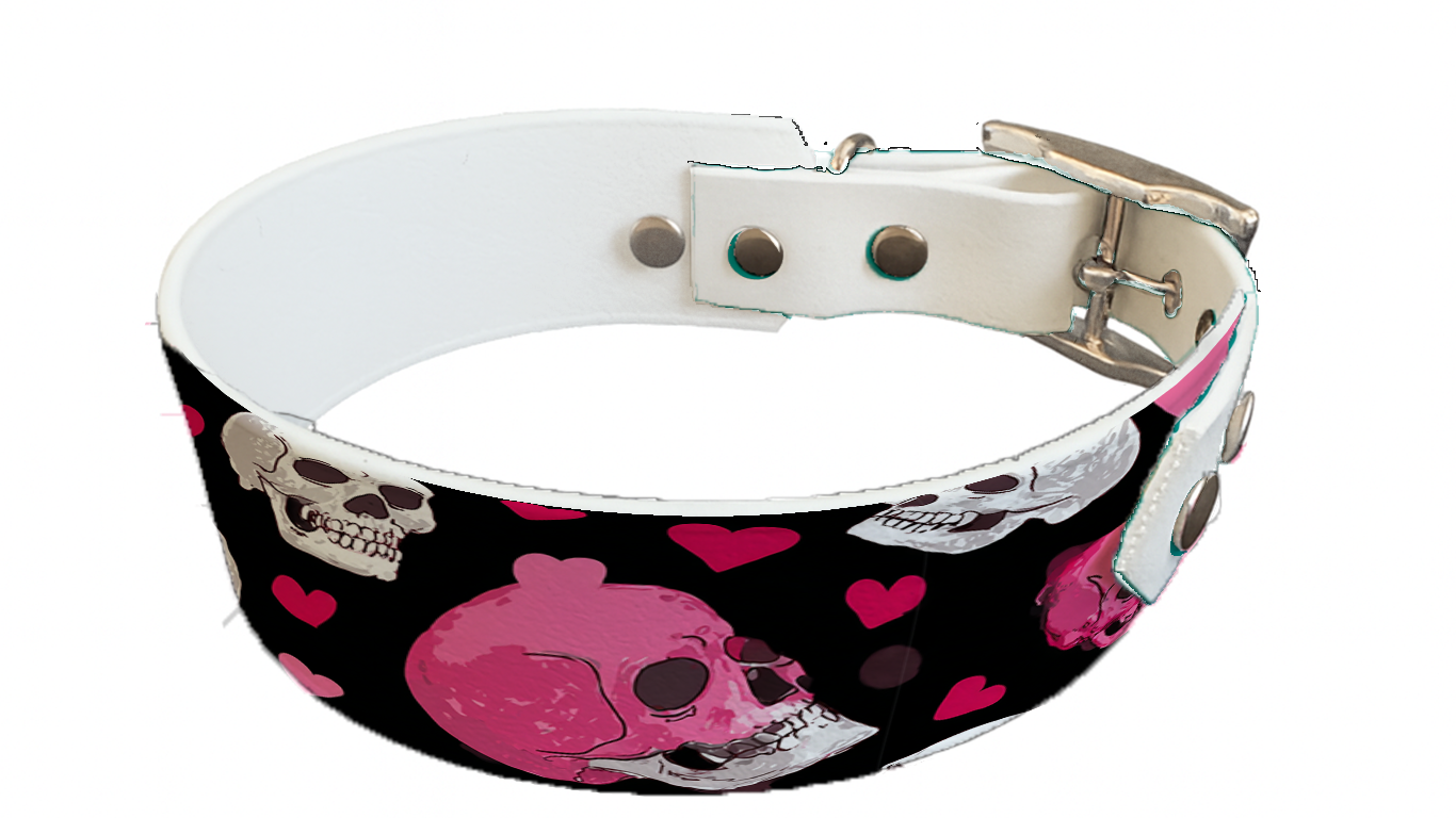 Collier bicolore large pour chien en BioThane® imprimé – Collection Saint valentin– 38/25 mm