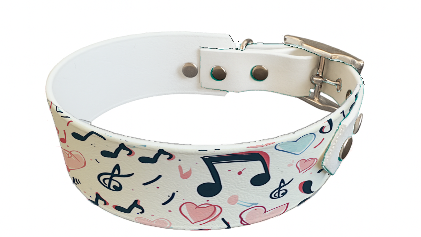 Collier bicolore large pour chien en BioThane® imprimé – Collection Saint valentin– 38/25 mm