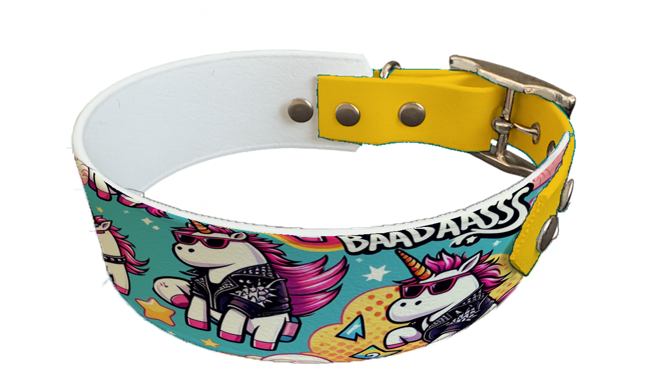 Collier bicolore large pour chien en BioThane® imprimé – Collection monstres et créatures imaginaires– 38/25 mm