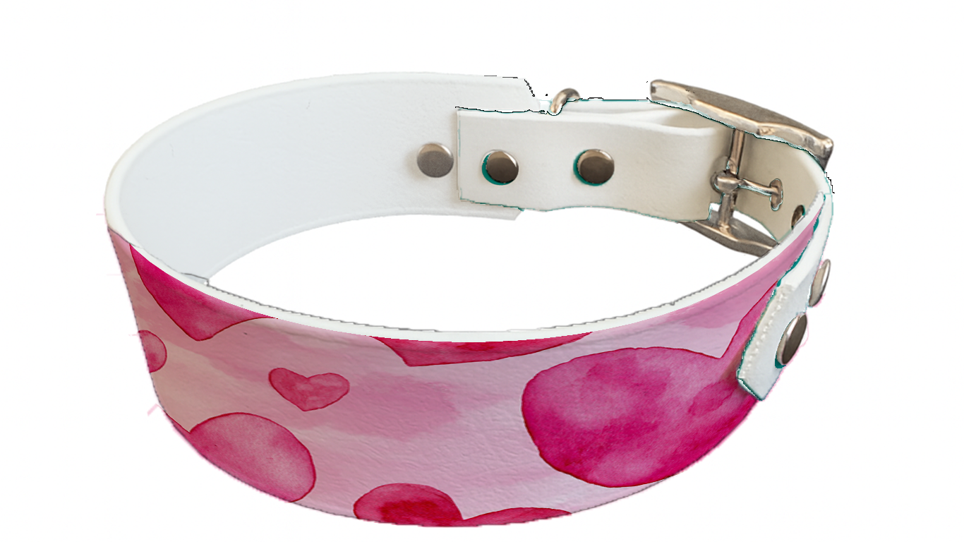 Collier bicolore large pour chien en BioThane® imprimé – Collection Saint valentin– 38/25 mm