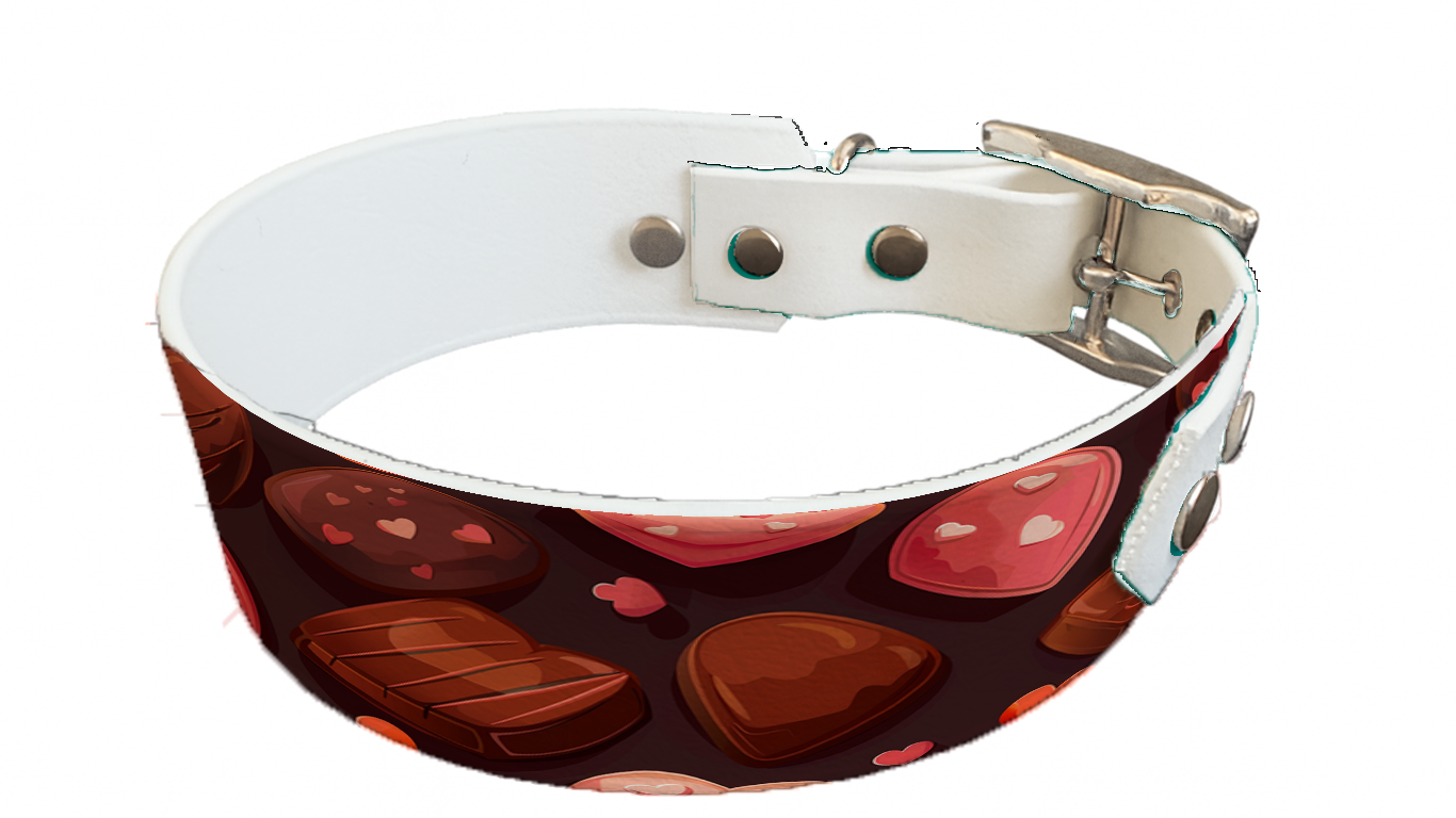 Collier bicolore large pour chien en BioThane® imprimé – Collection Saint valentin– 38/25 mm