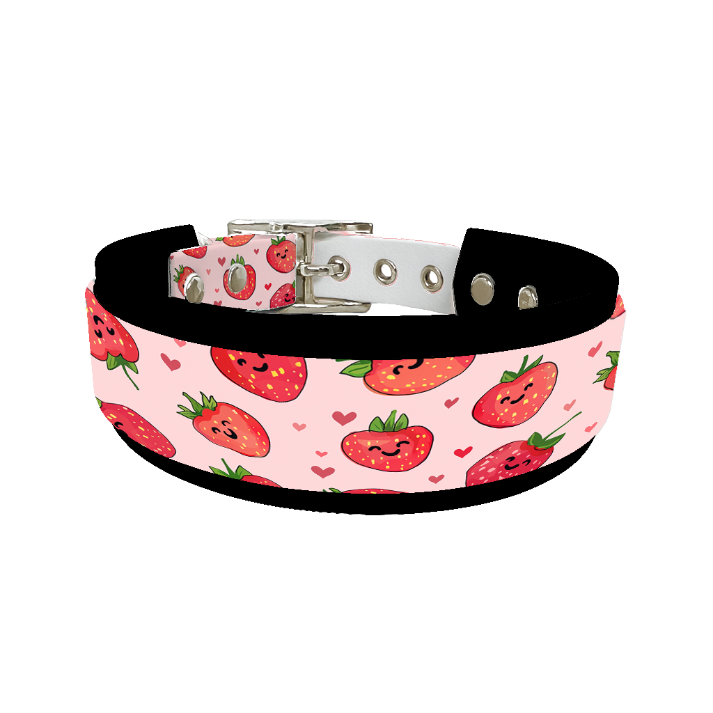 Colliers doubles pour chien – Collection Saint-Valentin (25 mm / 38 mm)