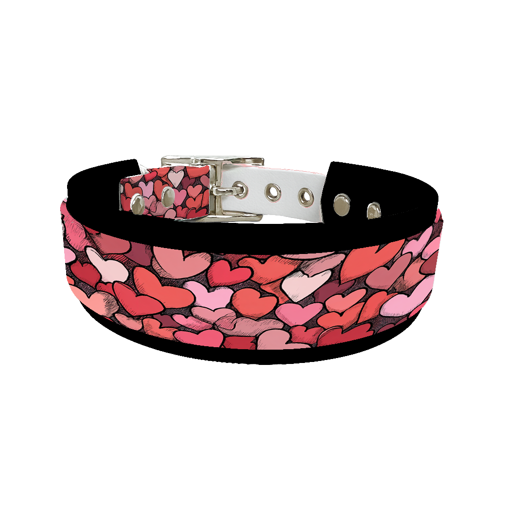 Colliers doubles pour chien – Collection Saint-Valentin (25 mm / 38 mm)