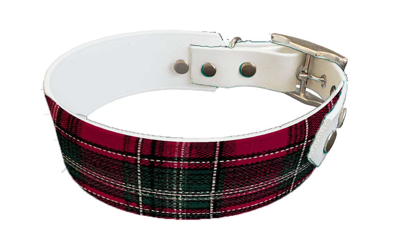Collier bicolore large pour chien en BioThane® imprimé – Collection Tartan– 38/25 mm