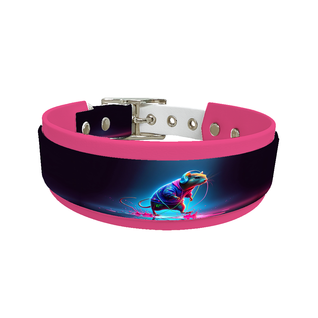 Collier double large pour chien en BioThane® imprimé – Collection animaux pop/kawaii – 38/25 mm