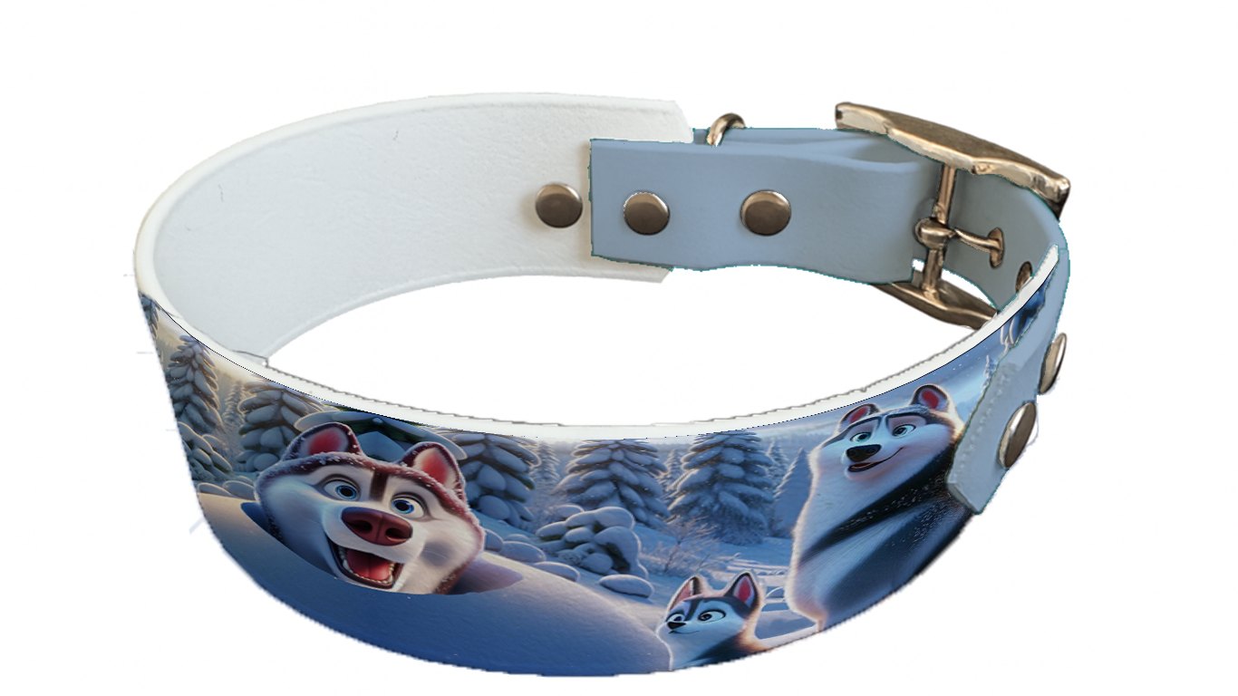 Collier bicolore large pour chien en BioThane® imprimé – Collection chiens– 38/25 mm