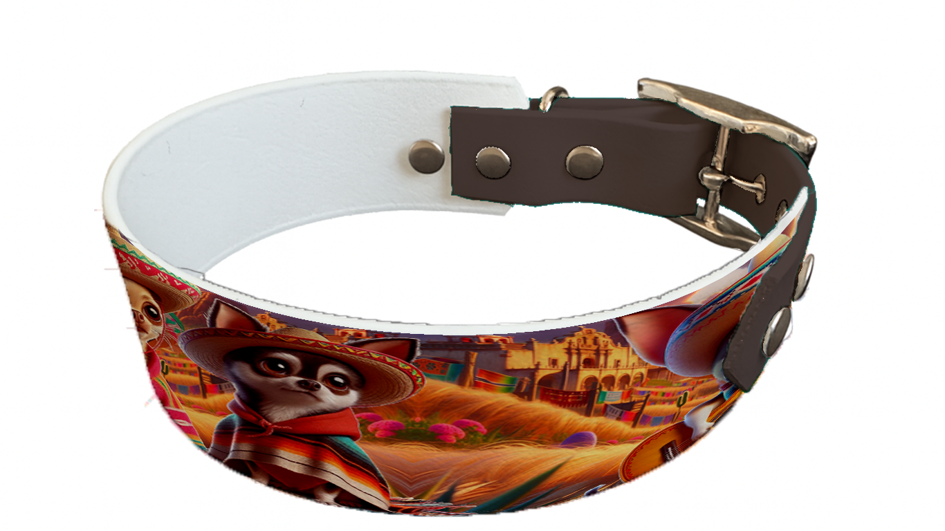 Collier bicolore large pour chien en BioThane® imprimé – Collection chiens– 38/25 mm