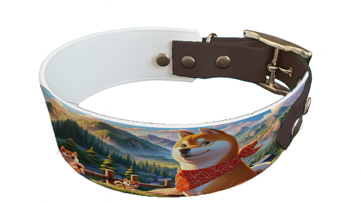 Collier bicolore large pour chien en BioThane® imprimé – Collection chiens– 38/25 mm